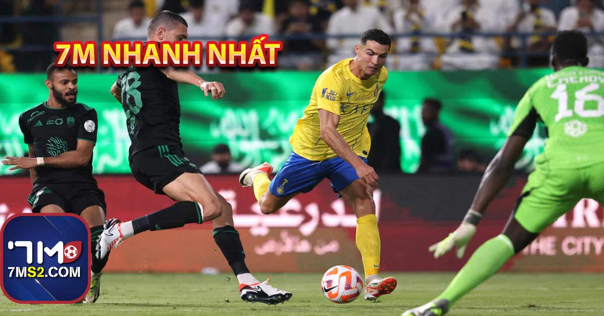 7m livescore tốc độ nhanh