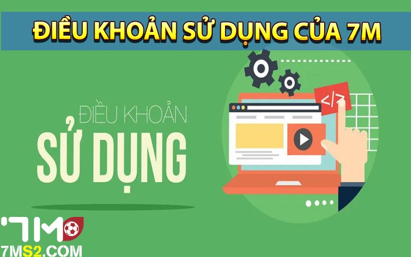 Điều khoản sử dụng của 7m