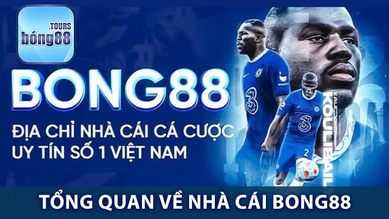 Tổng hợp thông tin về sân chơi Bong88 