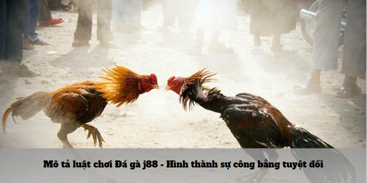 Mô tả luật chơi Đá gà Hello88 - Hình thành sự công bằng tuyệt đối